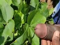 Guy&rsquo;s dick penetrated by a small animal sex toy